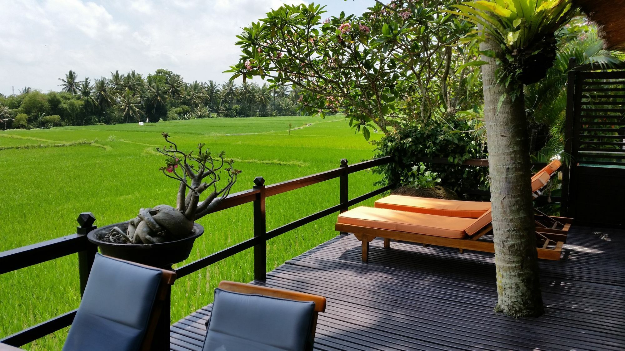 Hotel Lodtunduh Sari Ubud Esterno foto