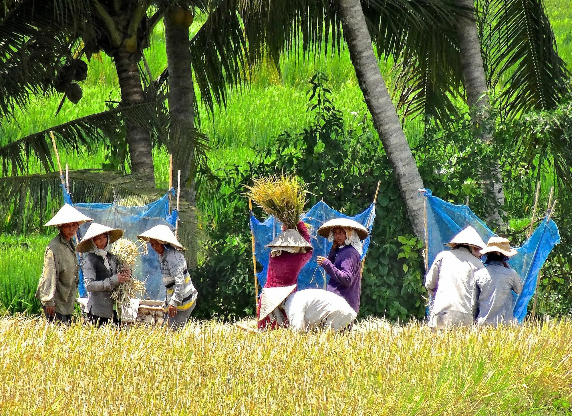 Hotel Lodtunduh Sari Ubud Esterno foto