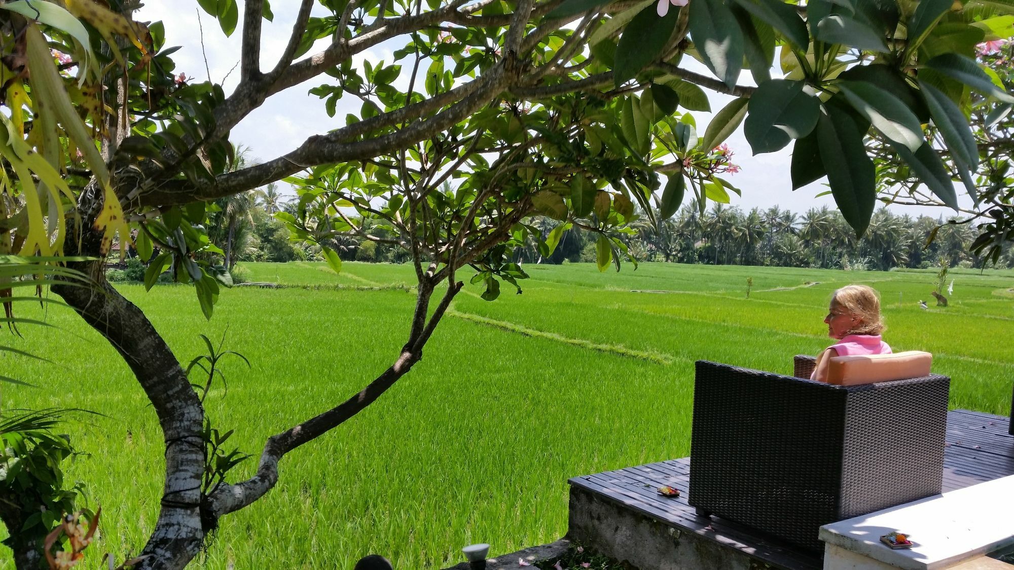 Hotel Lodtunduh Sari Ubud Esterno foto