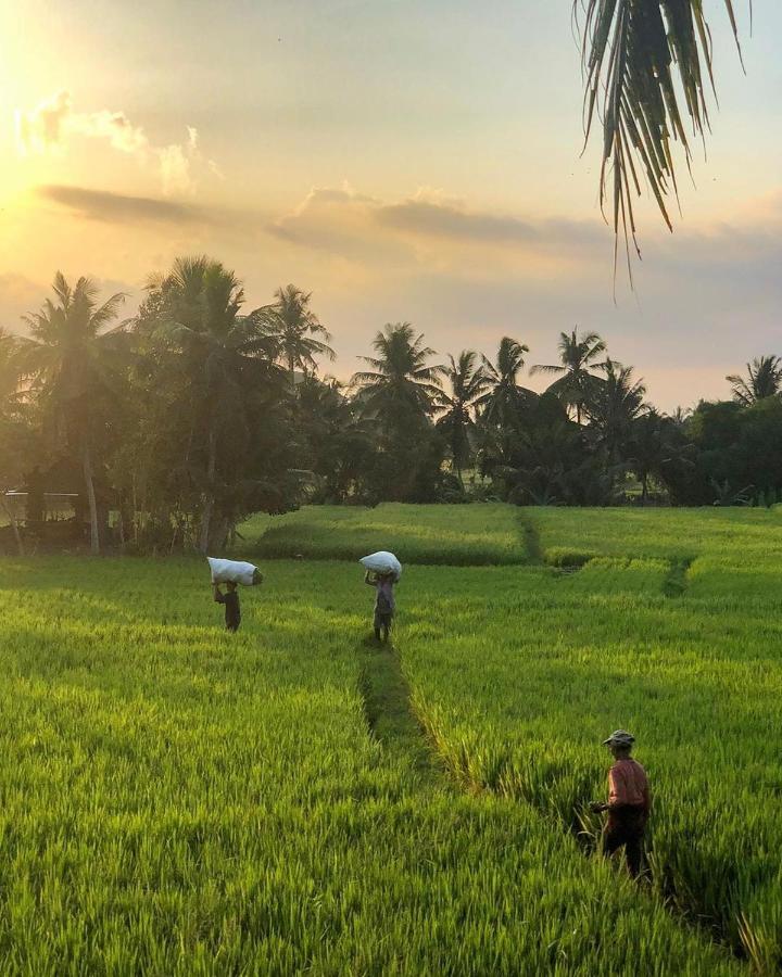 Hotel Lodtunduh Sari Ubud Esterno foto